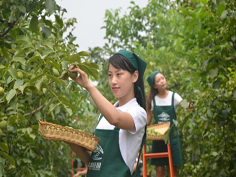 圖片8_副本.png 圖片8_副本.png